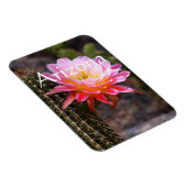 Cereus in roze cactus bloom, Arizona Magneet (Rechterzijde)