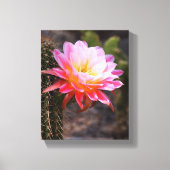Cereus in roze cactus bloom canvas afdruk (Voorkant)