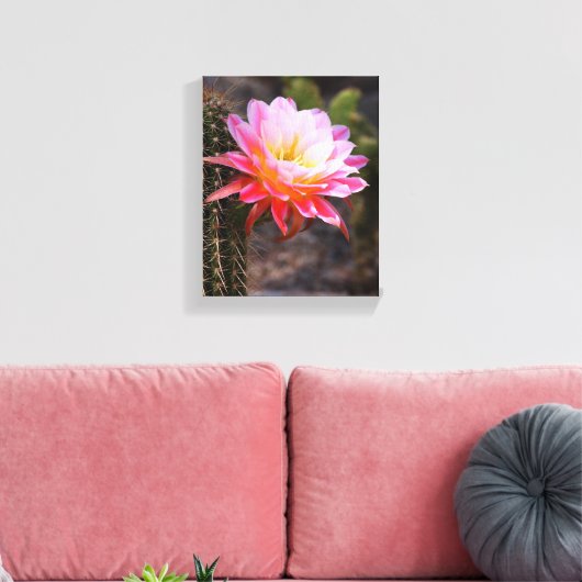 Cereus in roze cactus bloom canvas afdruk (Insitu (Woonkamer))