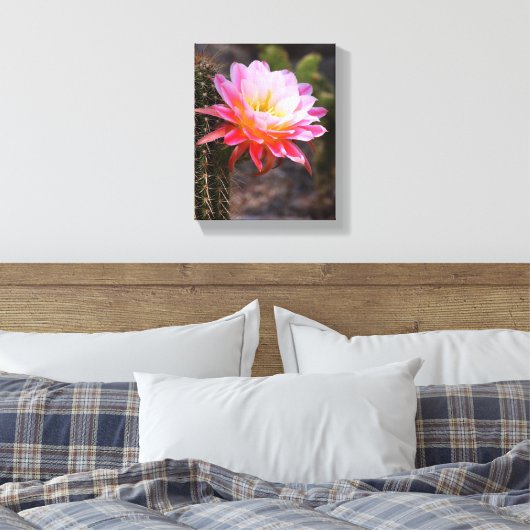 Cereus in roze cactus bloom canvas afdruk (Insitu (Slaapkamer))
