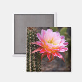 Cereus in roze cactus bloom magneet (Voorkant / Achterkant)