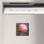 Cereus in roze cactus bloom magneet (Insitu (Vaatwasser))