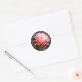 Cereus in roze cactus bloom ronde sticker (Envelop)