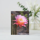 Cereus in roze cactusbloei briefkaart (Staand voorkant)