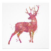 Cerf Animal Forêt Faune Sauvage Natuur Monde Terre Foto Afdruk (Voorkant)