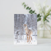 Cerf Briefkaart (Staand voorkant)