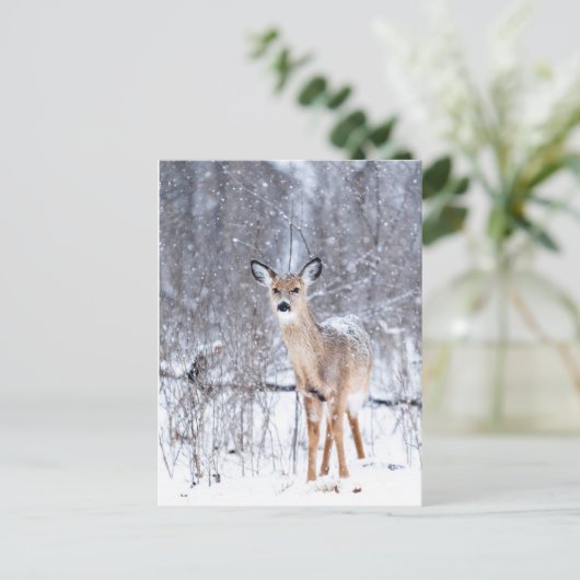 Cerf Briefkaart (Staand voorkant)