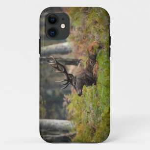 Cerf in het bos van Fontainebleau Case-Mate iPhone Case