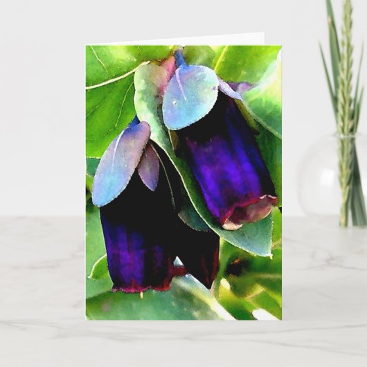 CERINTHE NOTECARD/BLANCO KAART (Voorkant)