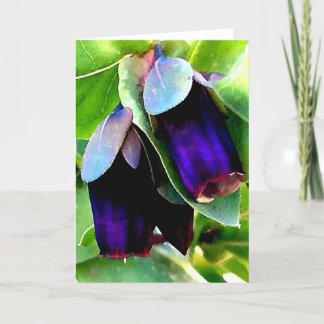 CERINTHE NOTECARD/BLANCO KAART
