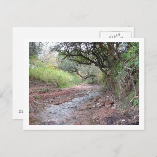 cerrocolorado briefkaart (Voorkant / Achterkant)