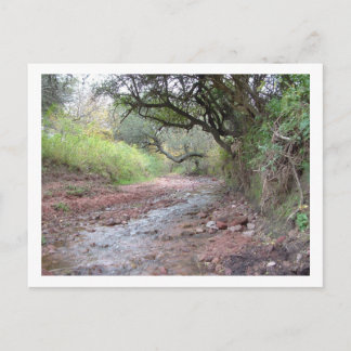 cerrocolorado briefkaart