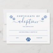 Certificaat van goedkeuring blauwe verf (Voorkant)