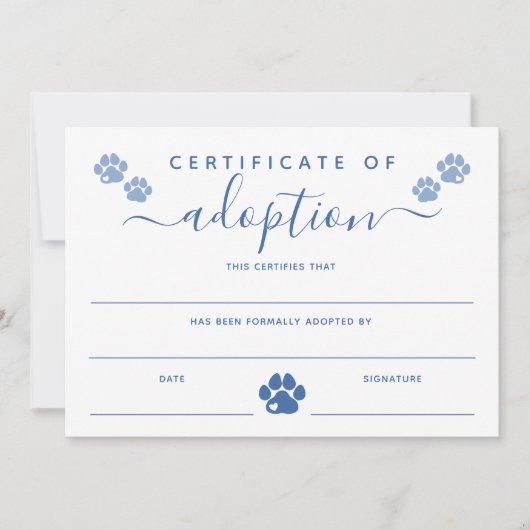 Certificaat van goedkeuring blauwe verf (Voorkant)