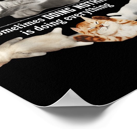 Certified Nap Expert Funny Lazy Cat Meme Cat Moms Poster (Hoek)