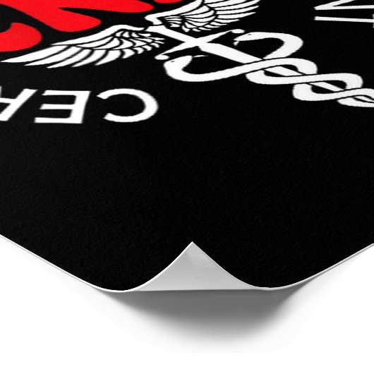 Certified Nurse Istant Certified Nursing Istant Cn Poster (Hoek)