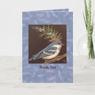 cerulean warbler Bedankt