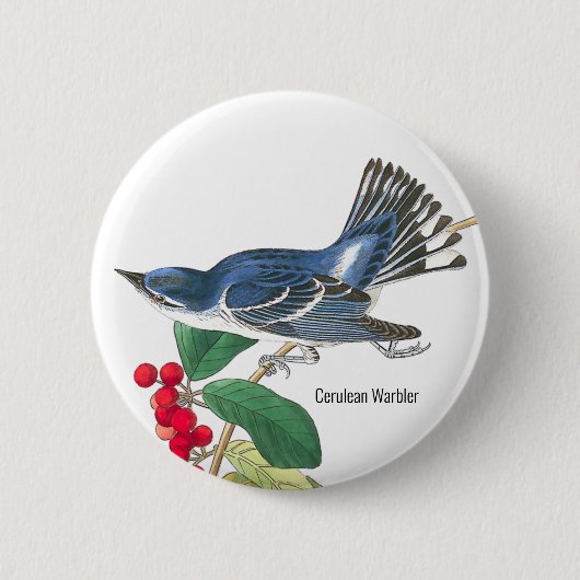 Cerulean Warbler door Audubon, Birder Mode Draag, Ronde Button 5,7 Cm (Voorkant)