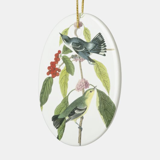 Cerulean Warbler, John Audubon Keramisch Ornament (Links)