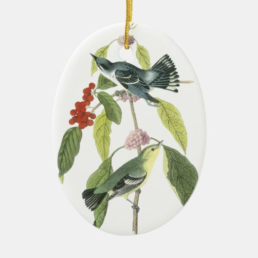 Cerulean Warbler, John Audubon Keramisch Ornament (Voorkant)