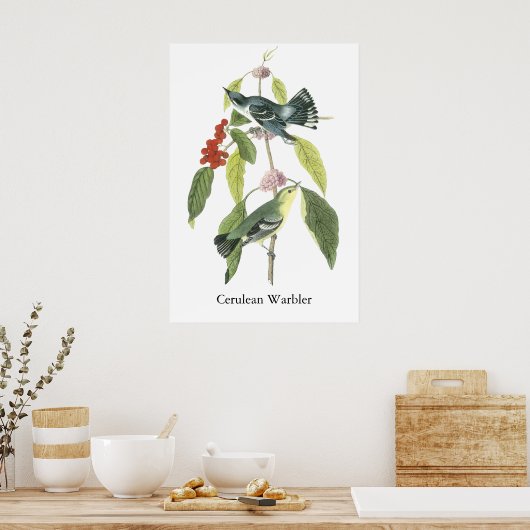 Cerulean Warbler, John Audubon Poster (Keuken)