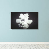 Cerussietkristallen (PbC03, loodcarbonaat), Namibi Canvas Afdruk (Insitu (Houten vloer))