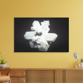 Cerussietkristallen (PbC03, loodcarbonaat), Namibi Canvas Afdruk (Insitu (Woonkamer))