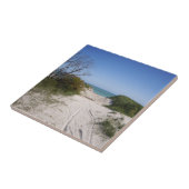 Cervantes WA-keramische tapijten Tegeltje (Zijkant)