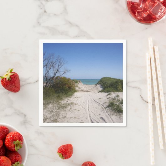 Cervantes WA Paper Servet (Insitu)