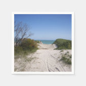 Cervantes WA Paper Servet (Voorkant)