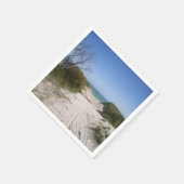 Cervantes WA Paper Servet (Hoek)