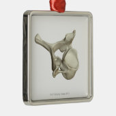 Cervicale wervel metalen ornament (Rechts)