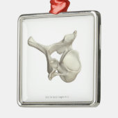 Cervicale wervel metalen ornament (Links)