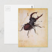 Cervus Lucanus door Albrecht Durer Briefkaart (Voorkant / Achterkant)