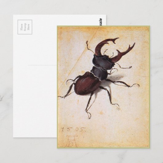 Cervus Lucanus door Albrecht Durer Briefkaart (Voorkant / Achterkant)