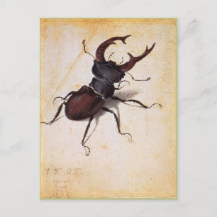 Cervus Lucanus door Albrecht Durer Briefkaart