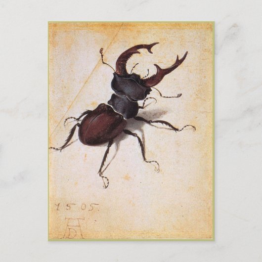 Cervus Lucanus door Albrecht Durer Briefkaart (Voorkant)