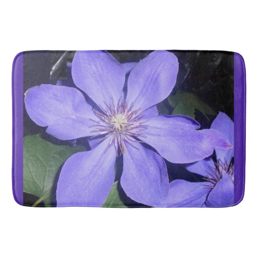 Césarine Badmat (Voorkant)