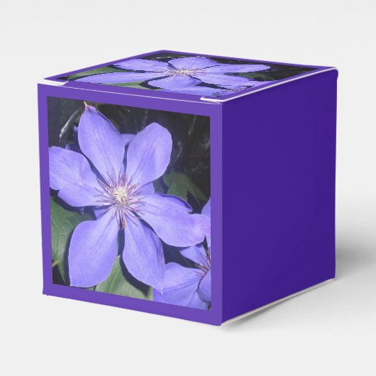 Césarine Bedankdoosjes (Voorkant Zijde)