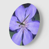 Césarine Grote Klok (Hoek)