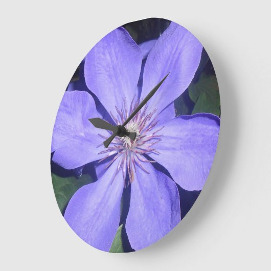 Césarine Grote Klok (Hoek)