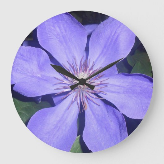 Césarine Grote Klok (Voorkant)