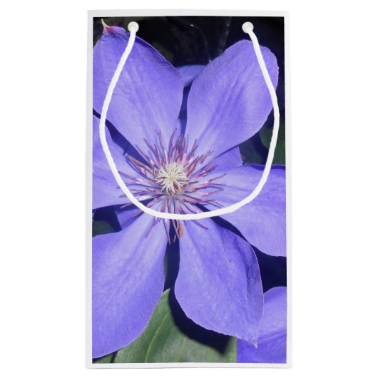 Césarine Klein Cadeauzakje (Achterkant)