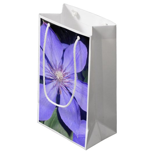 Césarine Klein Cadeauzakje (Voorkant Gekanteld)