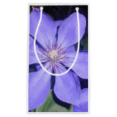 Césarine Klein Cadeauzakje (Voorkant)