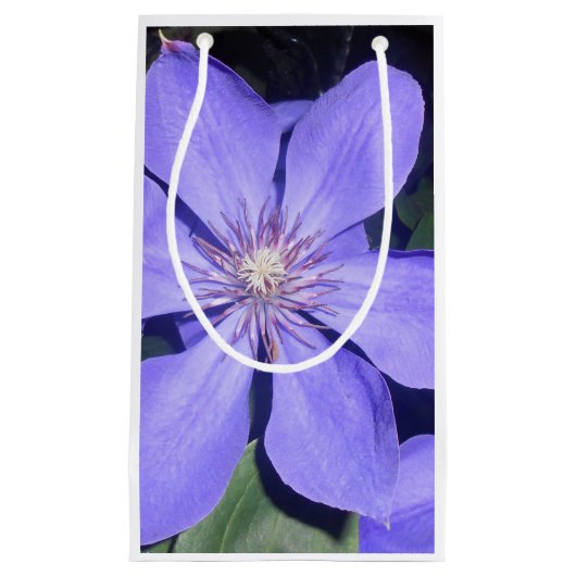 Césarine Klein Cadeauzakje (Voorkant)