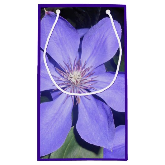 Césarine Klein Cadeauzakje (Achterkant)