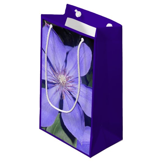 Césarine Klein Cadeauzakje (Voorkant Gekanteld)