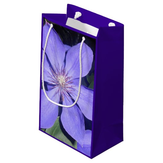 Césarine Klein Cadeauzakje (Achterkant Gekanteld)