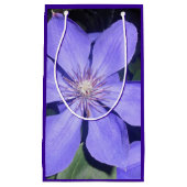 Césarine Klein Cadeauzakje (Voorkant)